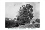 Archiv obce Vprachtice - st 11