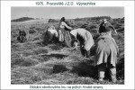 Archiv obce Výprachtice - část 29