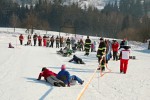 Pytlijda v lyaskm arelu firmy OVAZ 11.2.2012